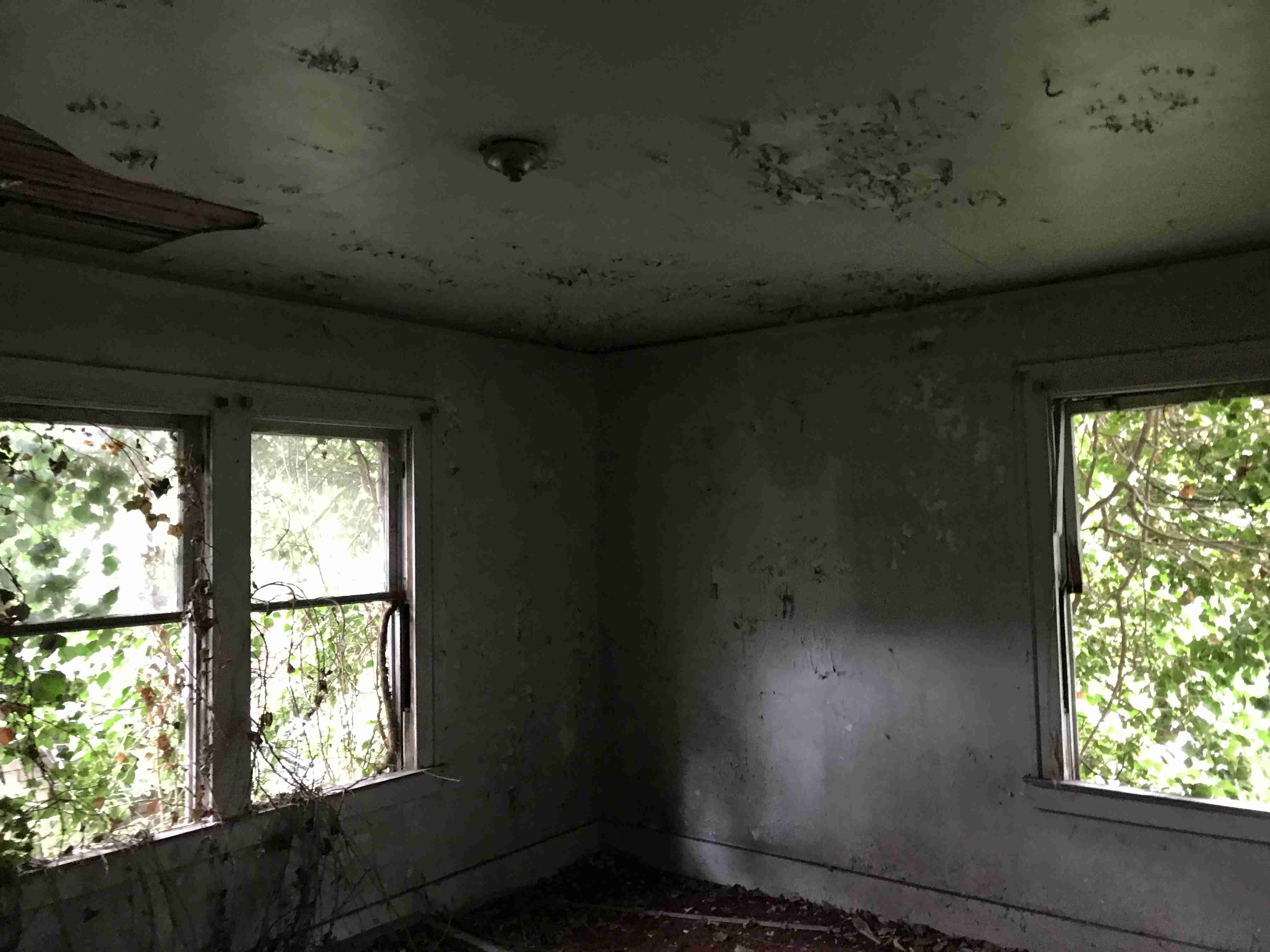 Photo Sep 10, 2 51 00 PM.jpg